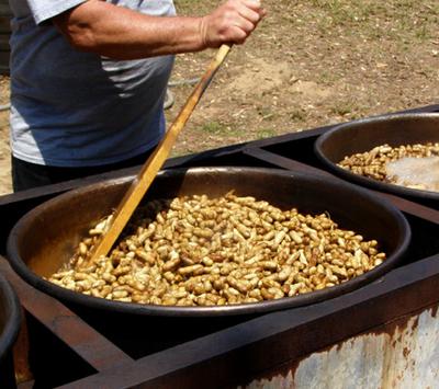 Boiling peanuts in a huge pot