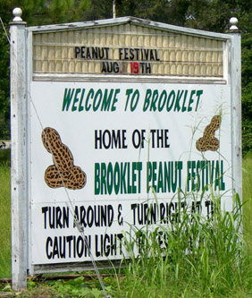 Brooklet Georgia Peanut Festival