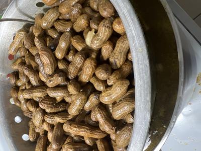 Awesome Boiled Peanuts!