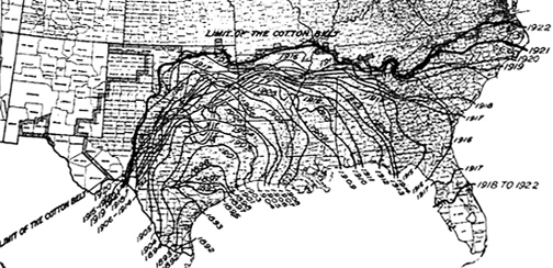 Boll weevil map, 1892, 1922, USDA