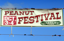 Jay Peanut Festival, Jay, Florida