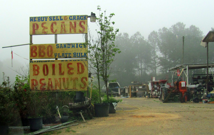 boiled peanuts bbq sandwiches pecans alabama florida georgia