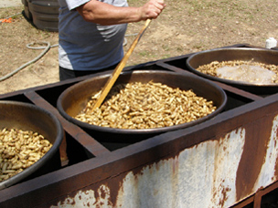 Pelion South Carolina Peanut Party boiled peanuts