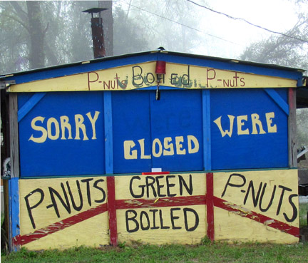 boiled green peanuts stand troy alabama